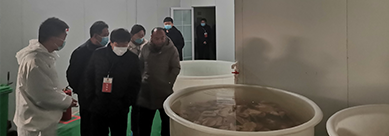 http://www.liujuntuan.cn/data/upload/202012/20201223121658_623.png